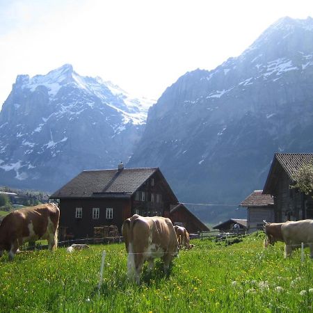 Chalet Baergblick Гриндельвальд Экстерьер фото