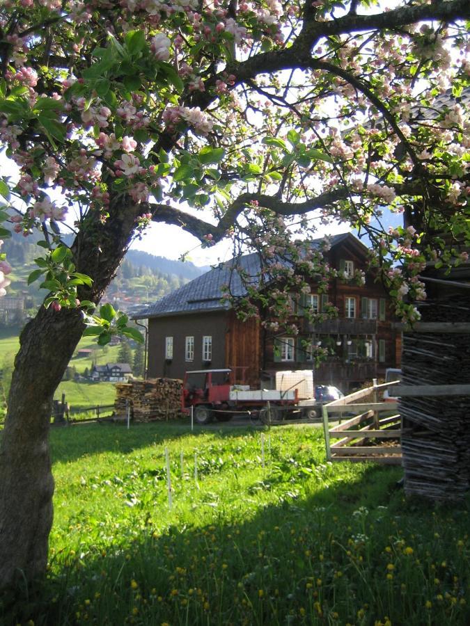 Chalet Baergblick Гриндельвальд Экстерьер фото