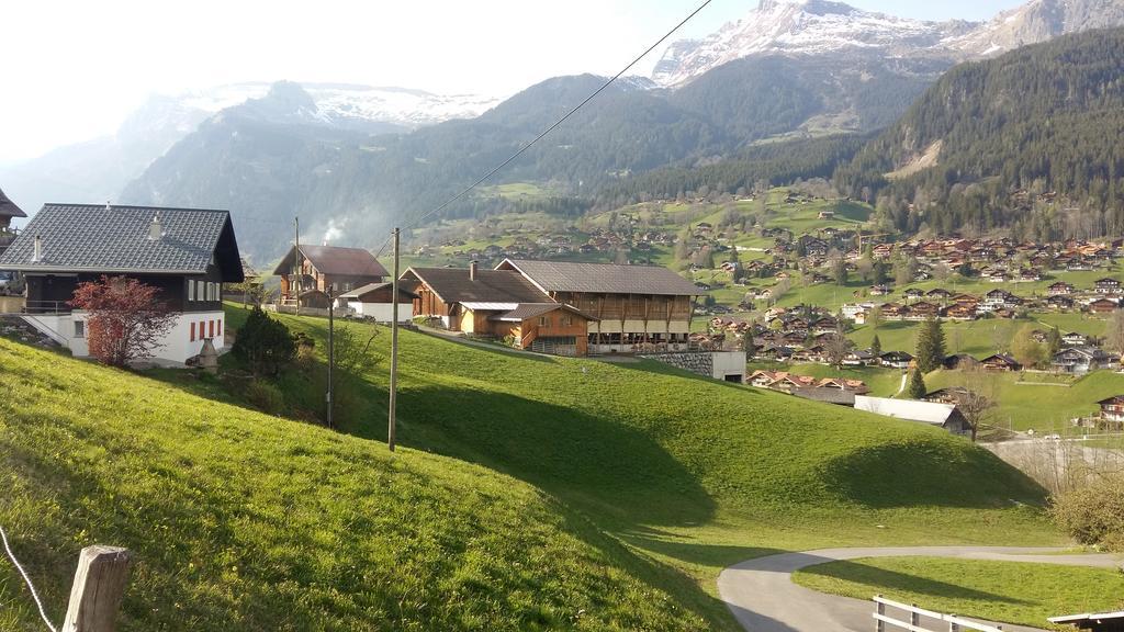Chalet Baergblick Гриндельвальд Экстерьер фото