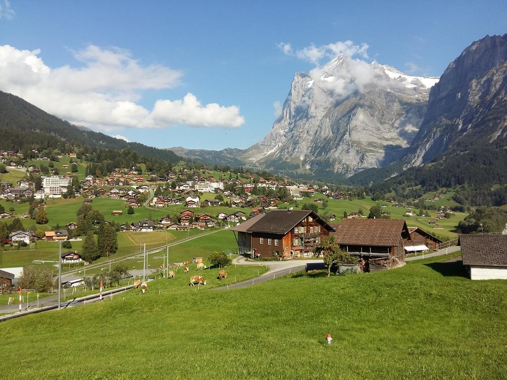 Chalet Baergblick Гриндельвальд Экстерьер фото
